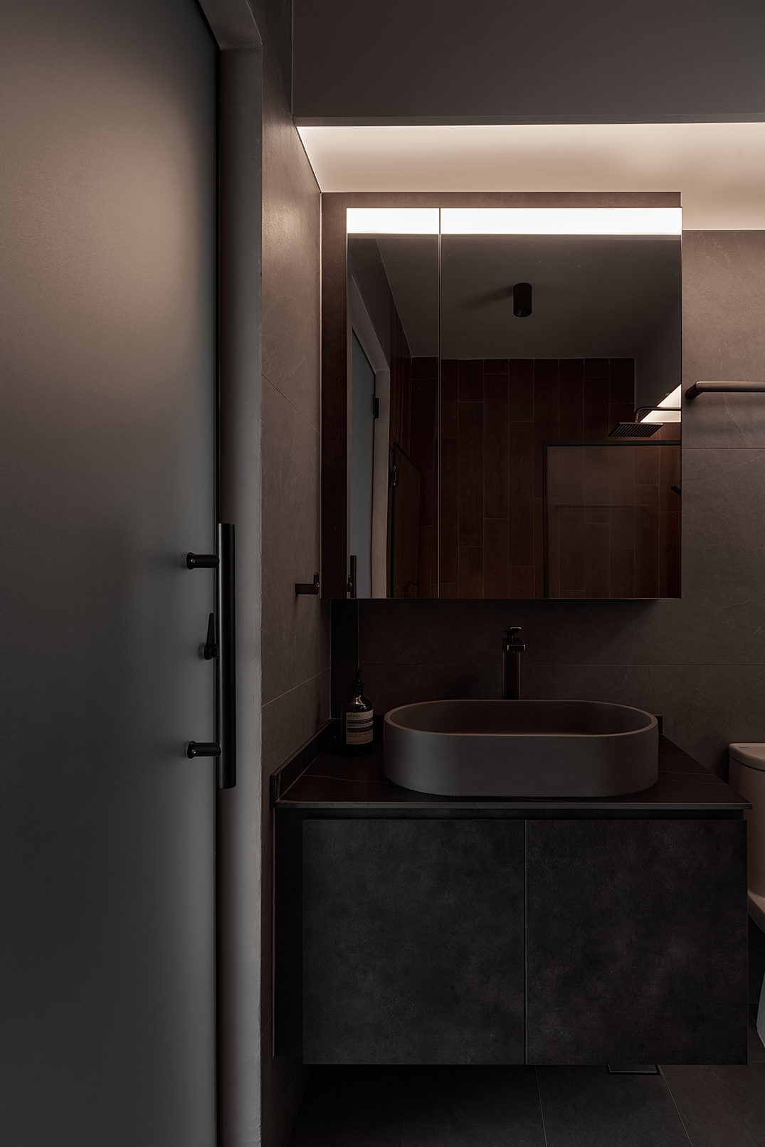 Ascend Design 206c Woodleigh Link washroom 2 light